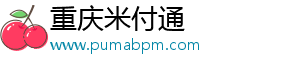 重庆米付通